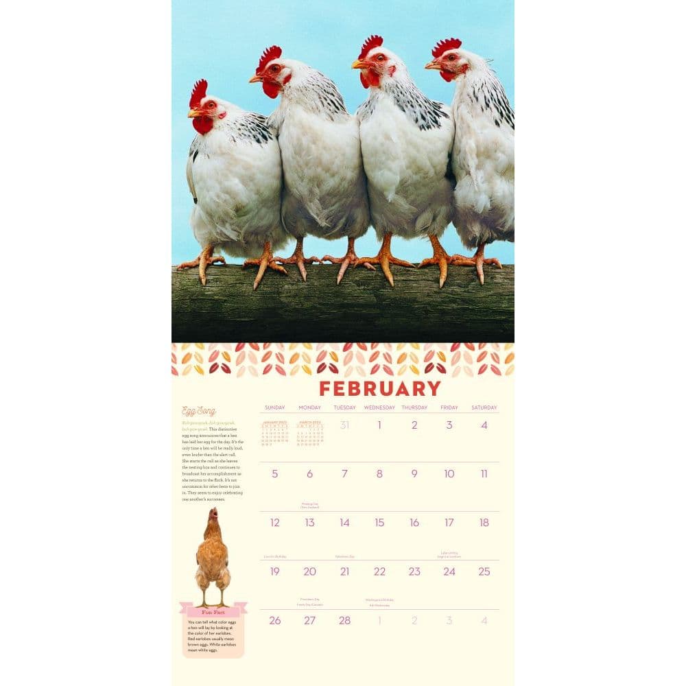How to Speak Chicken 2023 Wall Calendar - Calendars.com