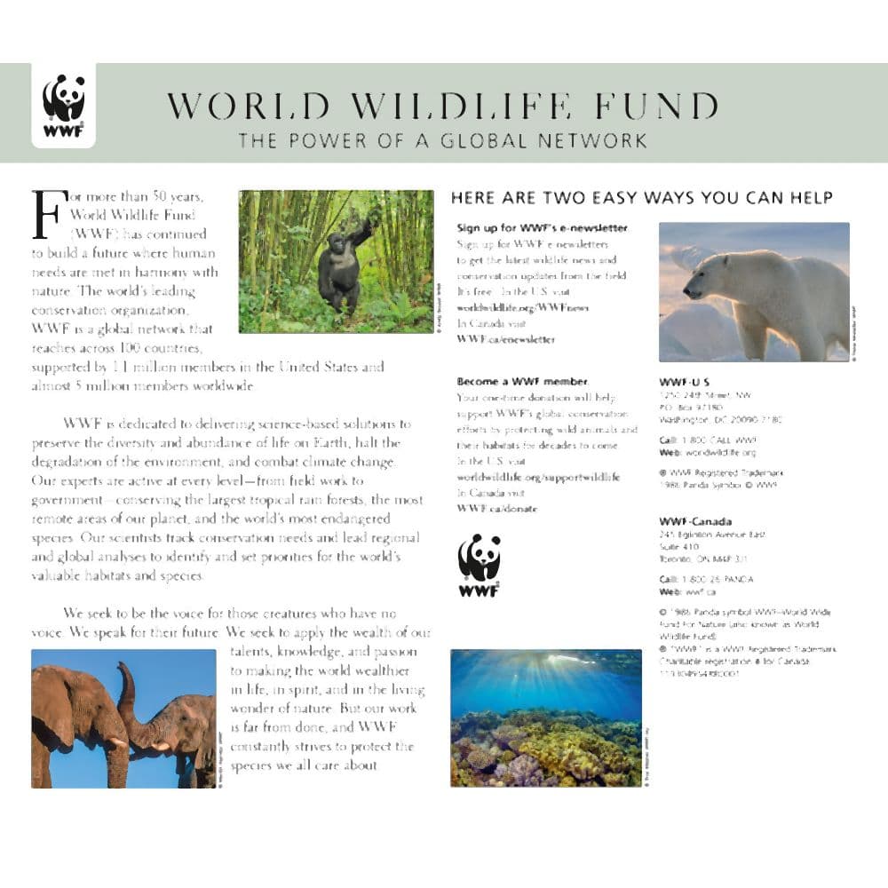 WWF Wildlife 2023 Wall Calendar 
