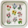 image Spode Garden Floral Paper Dinner Plate
Main  Image width="1000" height="1000"