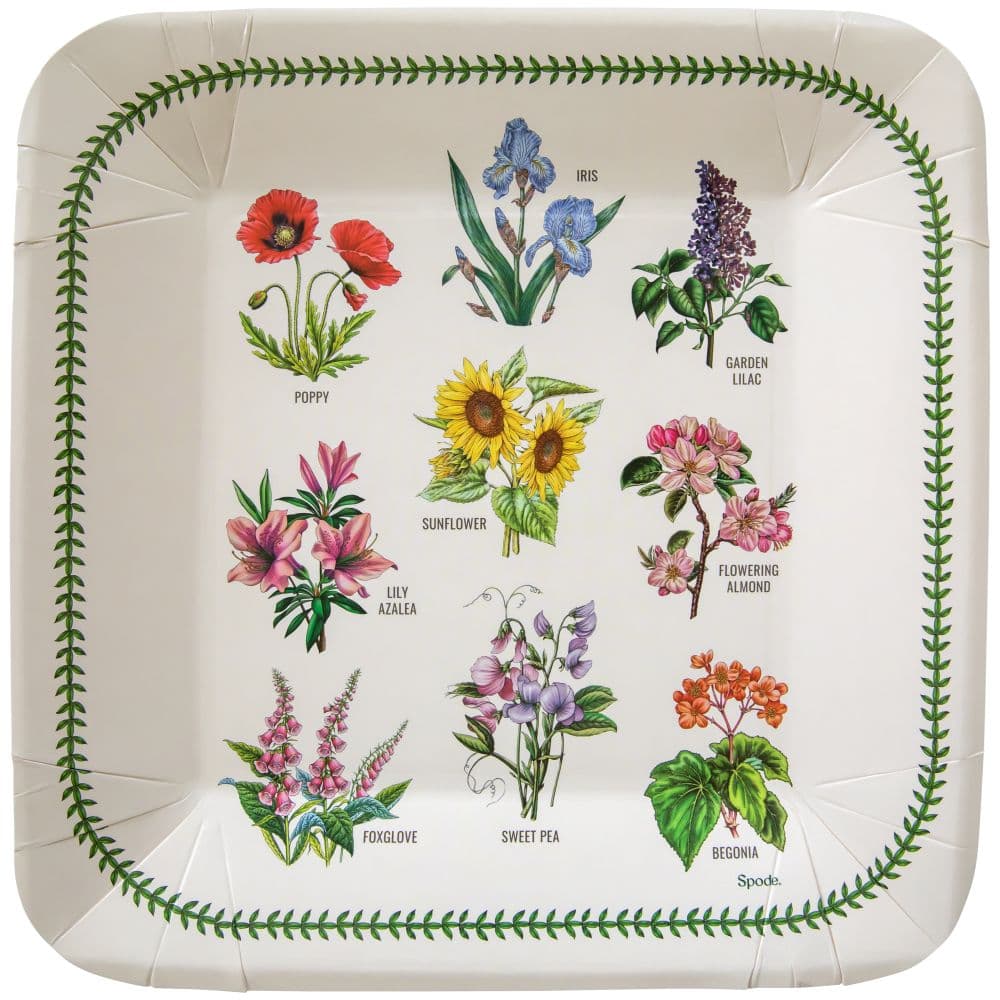 Spode Garden Floral Paper Dinner Plate
Main  Image width="1000" height="1000"