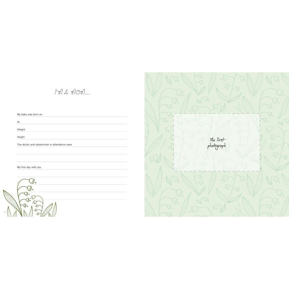 The Pregnancy Journal 9 Months to Remember 3rd Product Detail  Image width="1000" height="1000"