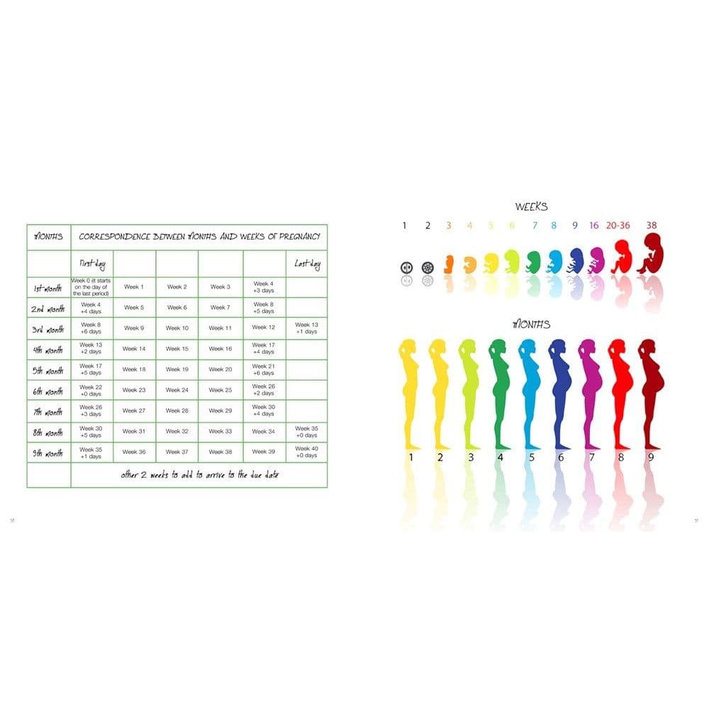 The Pregnancy Journal 9 Months to Remember 4th Product Detail  Image width="1000" height="1000"