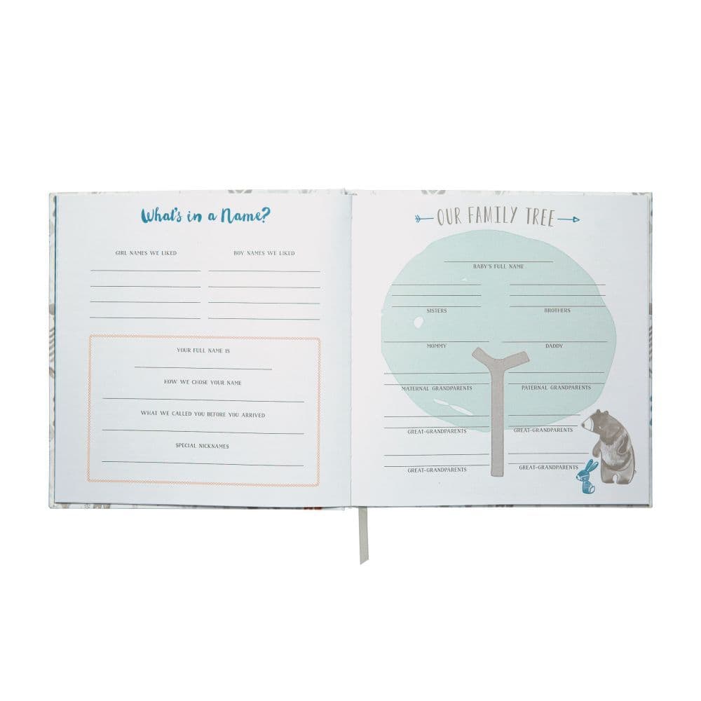 Little Man Memory Book 3rd Product Detail  Image width="1000" height="1000"