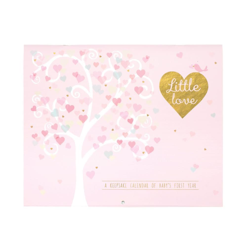 Little Love Babys First Year Calendar Main Product  Image width="1000" height="1000"
