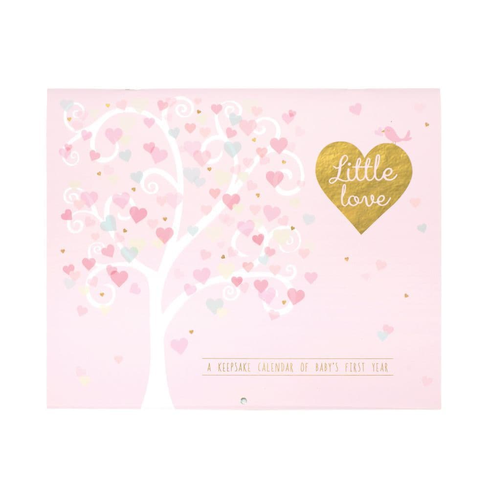 Little Love Babys First Year Calendar Main Product  Image width=&quot;1000&quot; height=&quot;1000&quot;