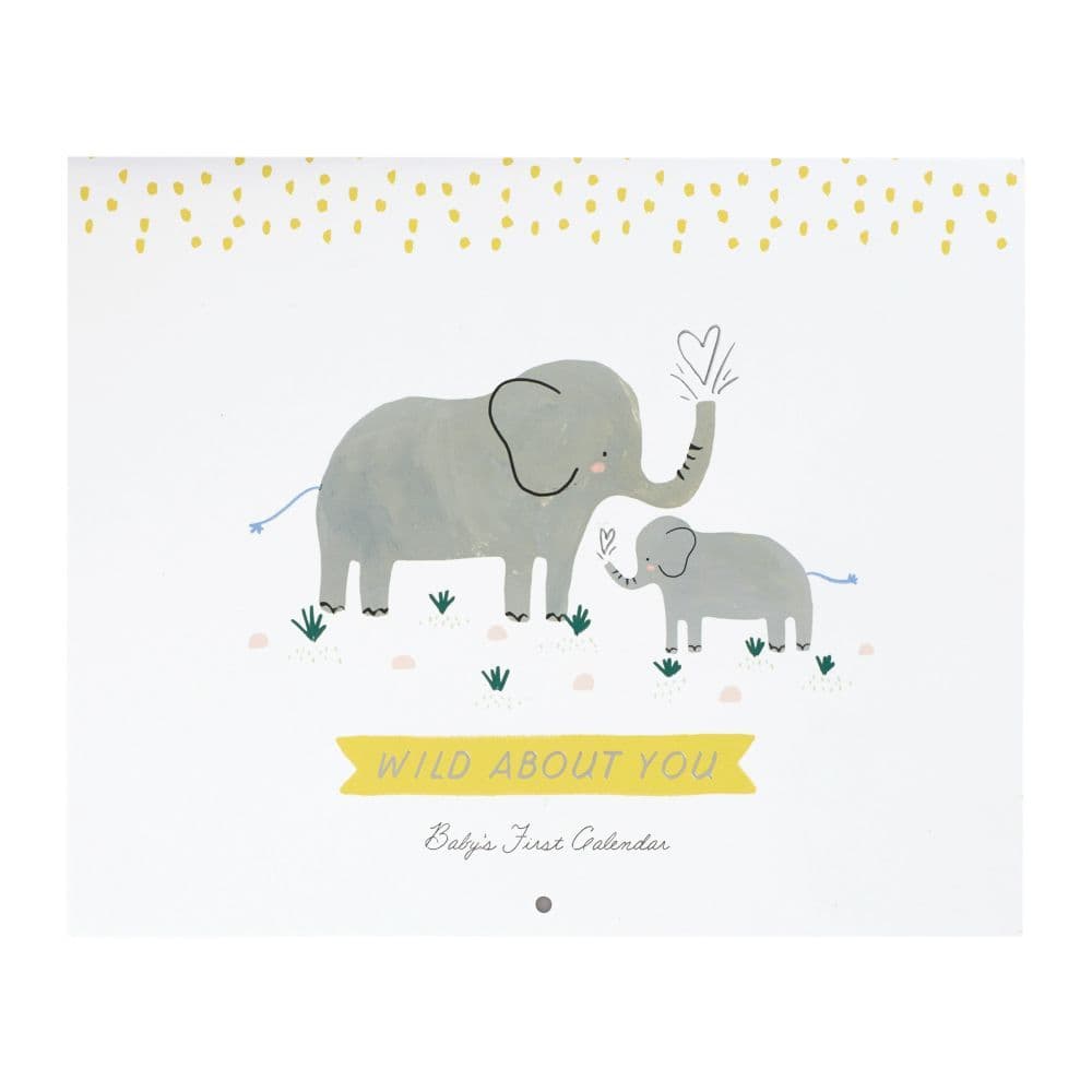 Wild About You Babys First Year Calendar Main Product  Image width=&quot;1000&quot; height=&quot;1000&quot;