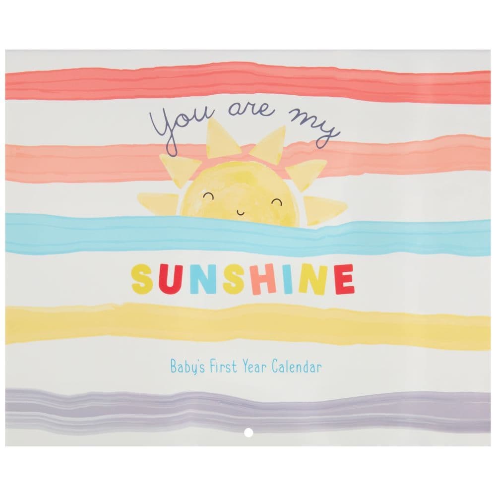 Sunshine Babys First Year Calendar Main Product  Image width=&quot;1000&quot; height=&quot;1000&quot;