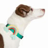 image Rainbow Vibes Dog Collar Charm 3rd Product Detail  Image width=&quot;1000&quot; height=&quot;1000&quot;