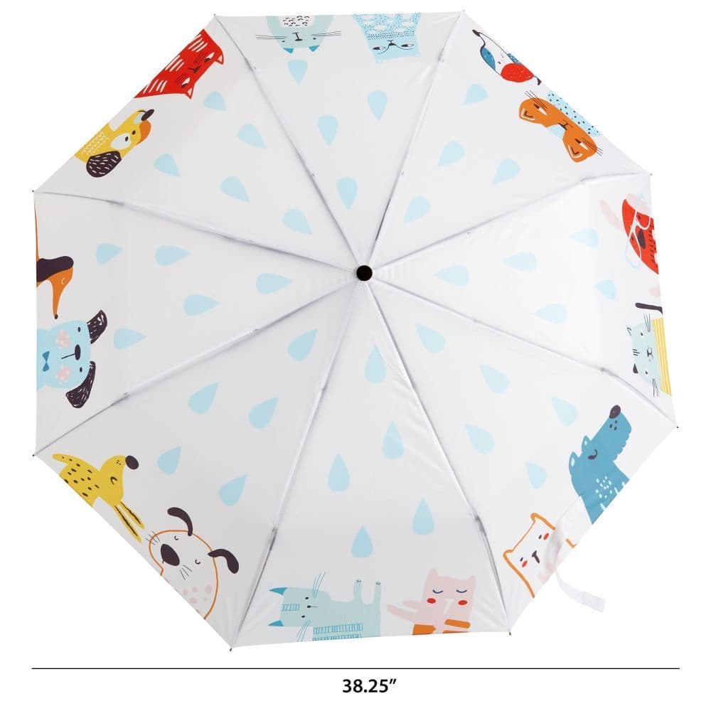 Raining Cats And Dogs Umbrella 4th Product Detail  Image width=&quot;1000&quot; height=&quot;1000&quot;
