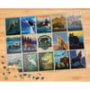 image National Parks Wildlife 1000 Piece Puzzle 3rd Product Detail  Image width="1000" height="1000"