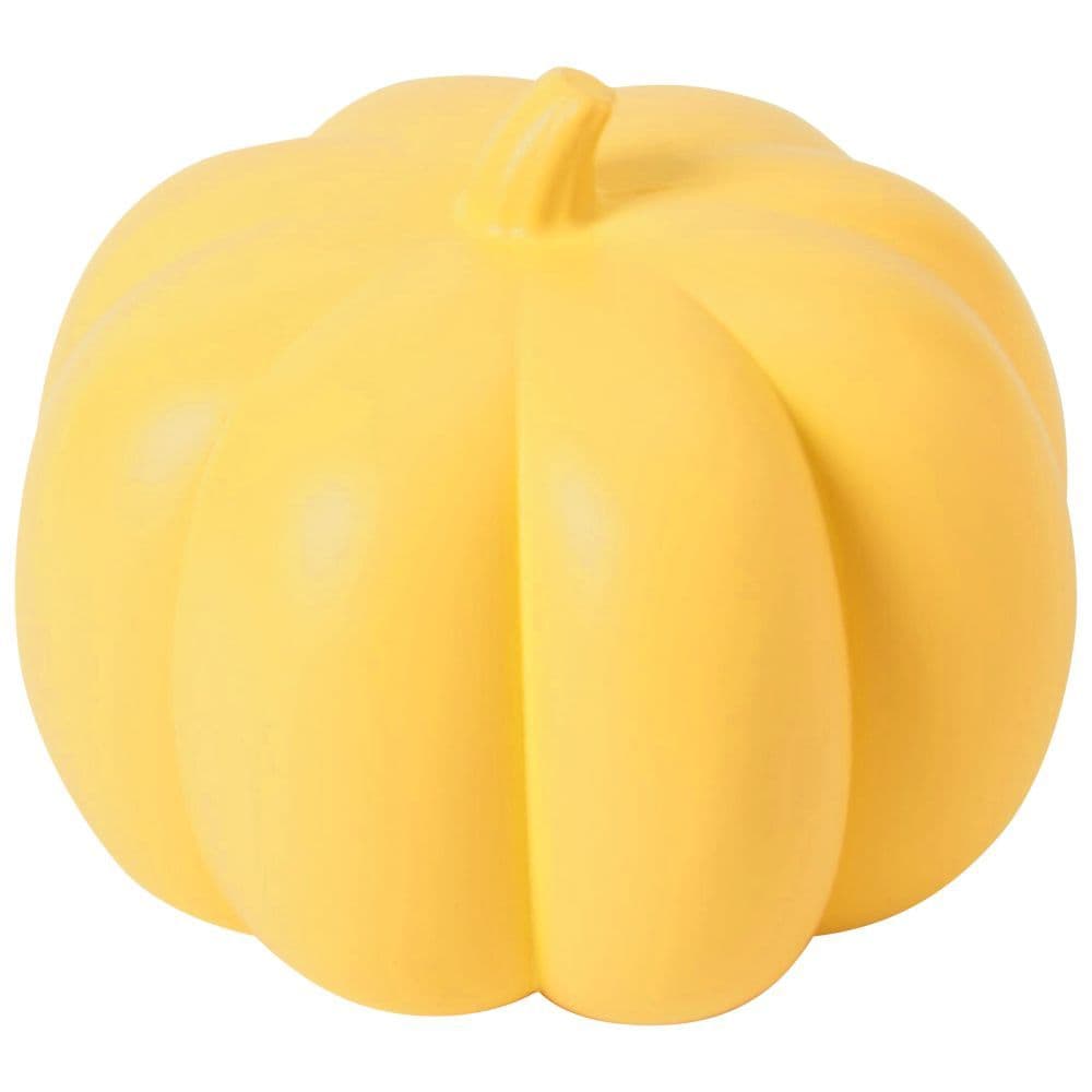 Colorful Rainbow Pumpkins 5th Product Detail  Image width=&quot;1000&quot; height=&quot;1000&quot;