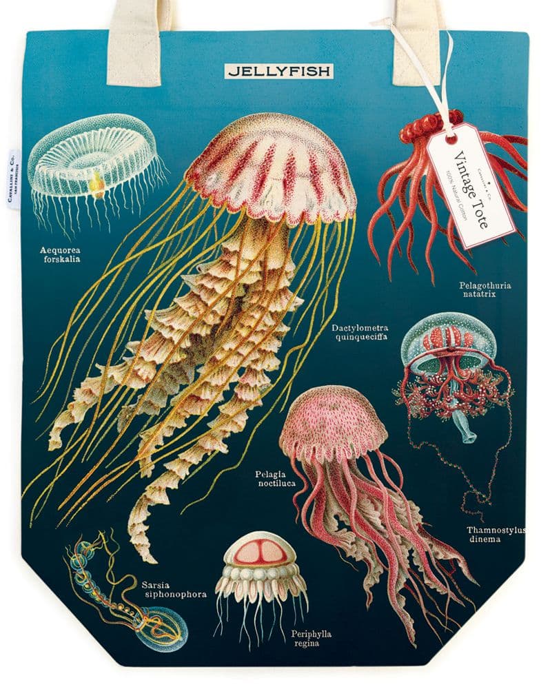 Jellyfish Tote Bag Main  Image width=&quot;1000&quot; height=&quot;1000&quot;