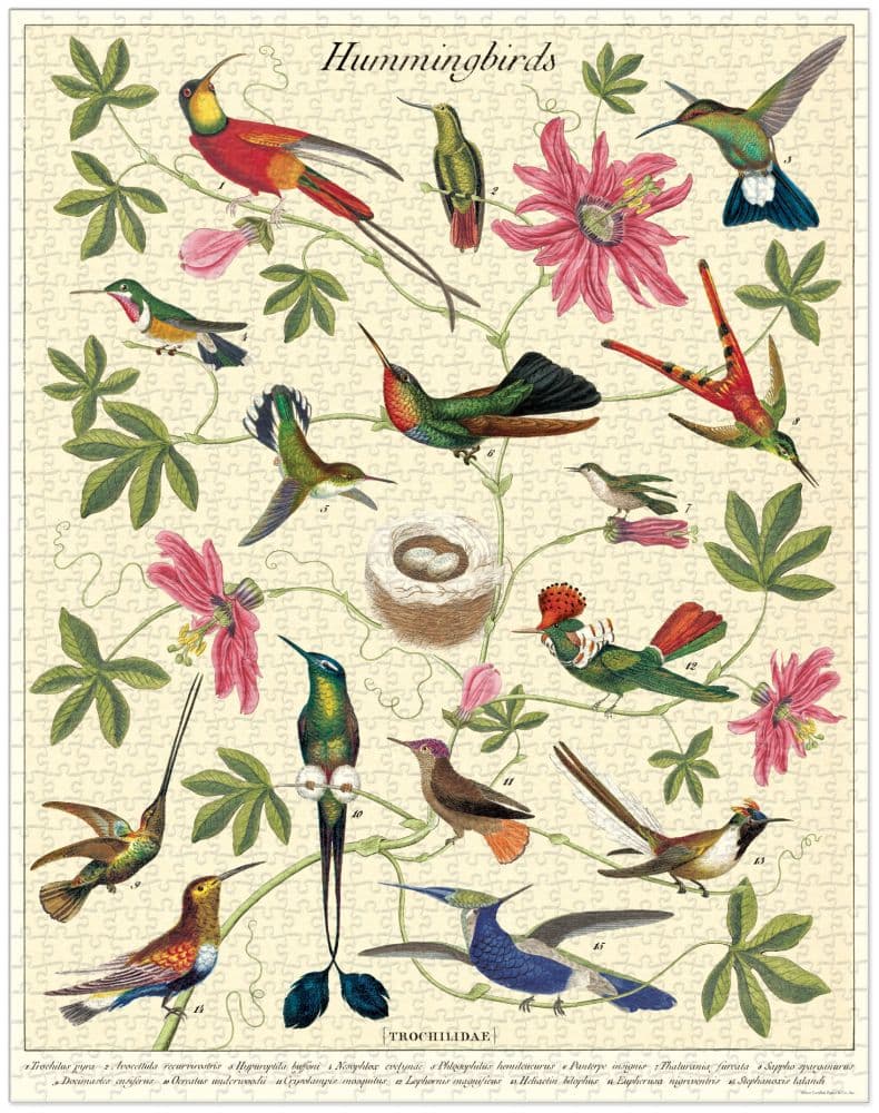 Hummingbirds 1000 Piece Puzzle finished puzzle  Image width="1000" height="1000"