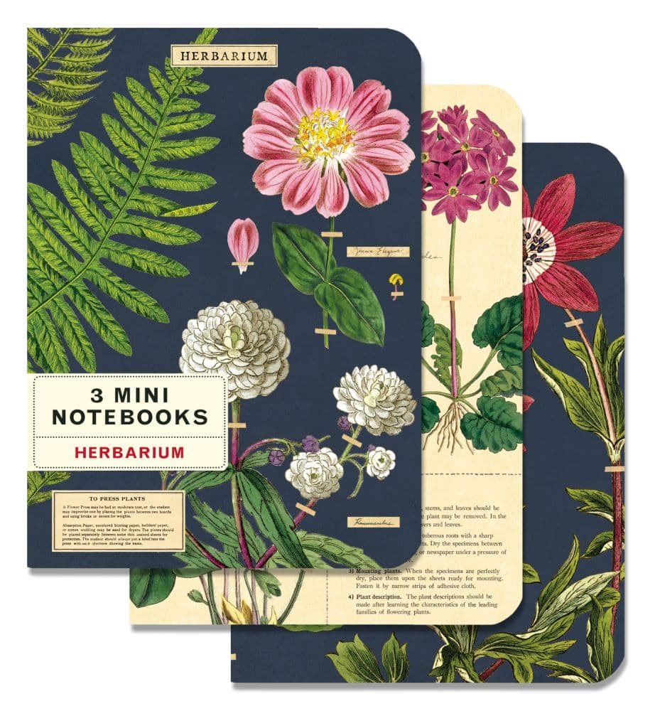 Herbarium Mini Notebook (3 pack) Main image of all three notebooks width="1000" height="1000"