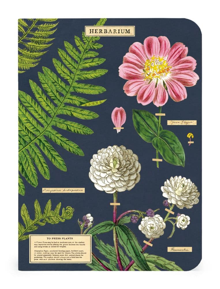Herbarium Mini Notebook (3 pack) first notebook of various botanical illustrations width="1000" height="1000"