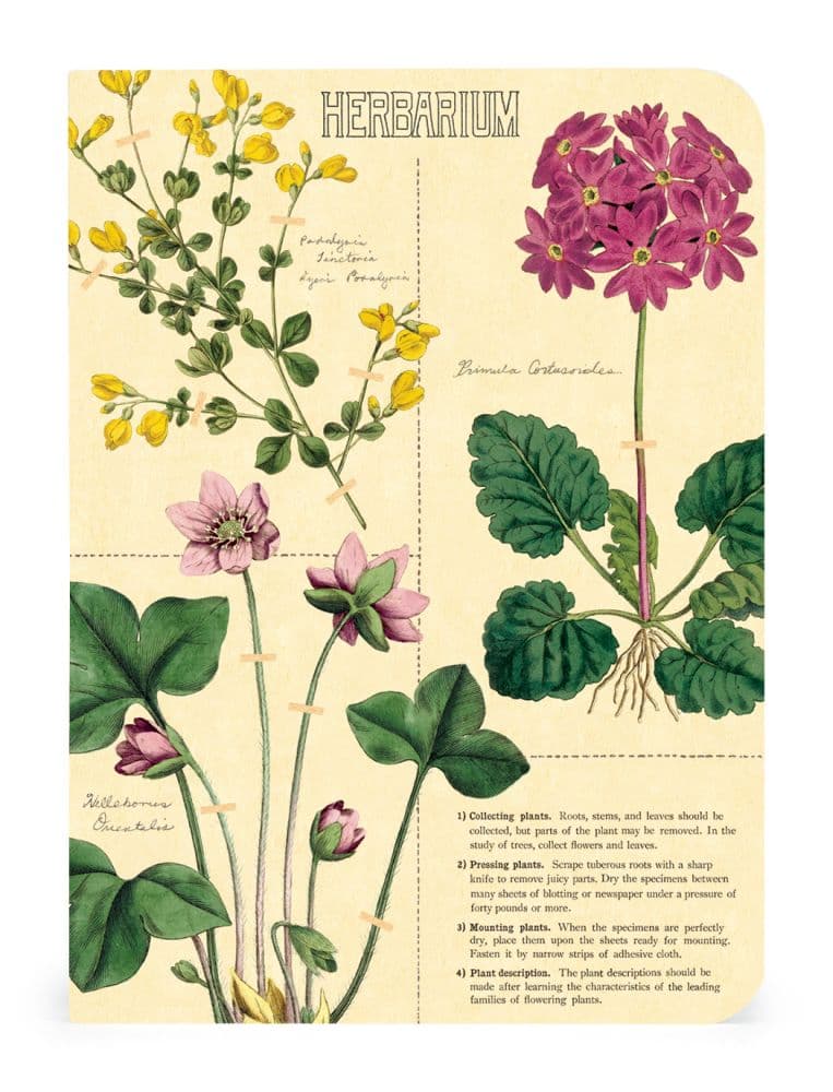 Herbarium Mini Notebook (3 pack) second notebook of various botanical flower art width="1000" height="1000"