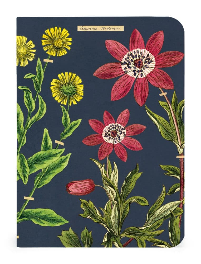 Herbarium Mini Notebook (3 pack) third notebook of red and yellow botanical flower art width="1000" height="1000"