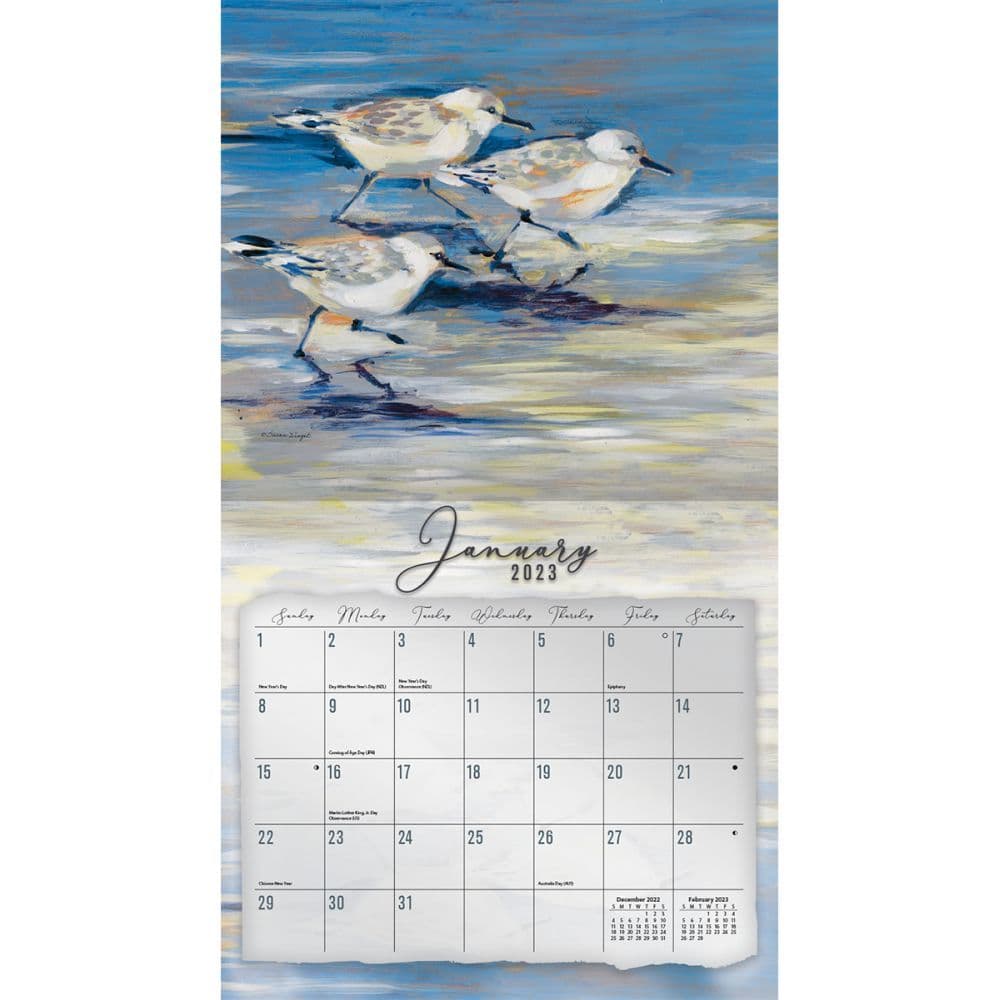 Coastal Shores 2023 Wall Calendar - Calendars.com coastal-shores-2023-wall-calendar-calendars-com