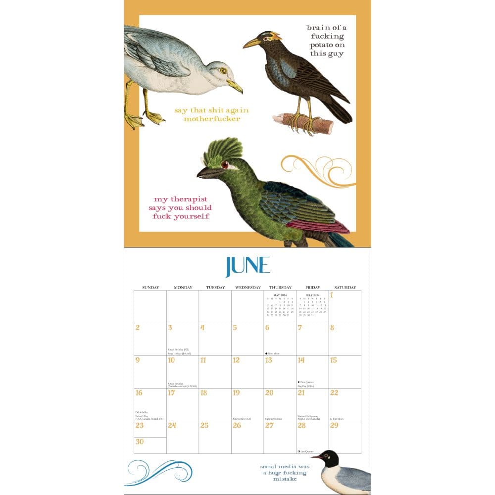Effin Birds 2024 Wall Calendar