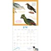 image Effin Birds 2024 Wall Calendar Alternate Image 3 width="1000" height="1000"