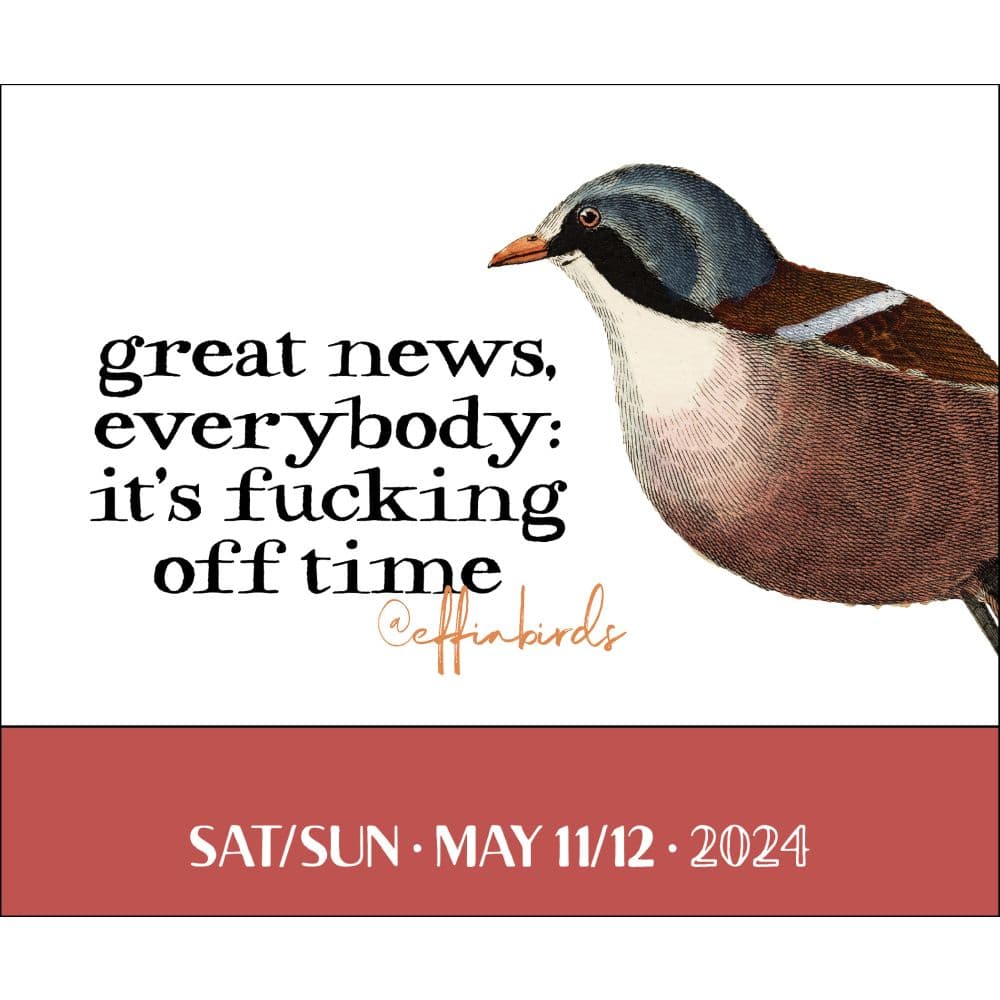 Effin Birds 2024 Desk Calendar