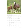 image Clydesdales Horses 2024 Wall Calendar Interior Image width=&quot;1000&quot; height=&quot;1000&quot;