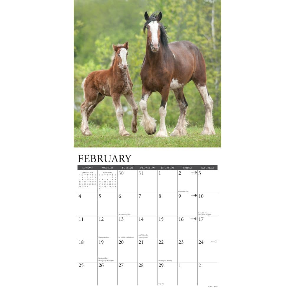 Clydesdales Horses 2024 Wall Calendar Interior Image width=&quot;1000&quot; height=&quot;1000&quot;