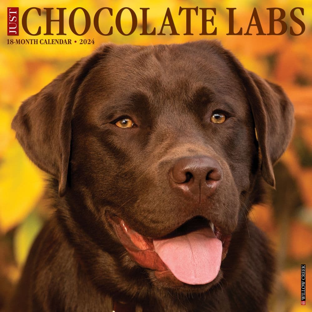 Just Lab Chocolate 2024 Wall Calendar Main Image width=&quot;1000&quot; height=&quot;1000&quot;