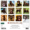 image Just Lab Chocolate 2024 Wall Calendar Back of Calendar width=&quot;1000&quot; height=&quot;1000&quot;