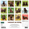 image Just Lab Chocolate Puppies 2024 Wall Calendar Back of Calendar width=&quot;1000&quot; height=&quot;1000&quot;