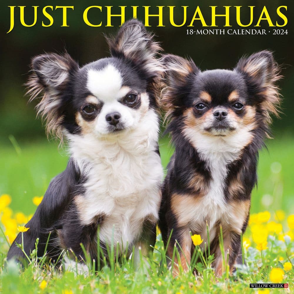 Just Chihuahuas 2024 Wall Calendar Main Image width=&quot;1000&quot; height=&quot;1000&quot;