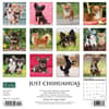 image Just Chihuahuas 2024 Wall Calendar Back of Calendar width=&quot;1000&quot; height=&quot;1000&quot;