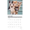 image Just Chihuahuas 2024 Wall Calendar Interior Image width=&quot;1000&quot; height=&quot;1000&quot;