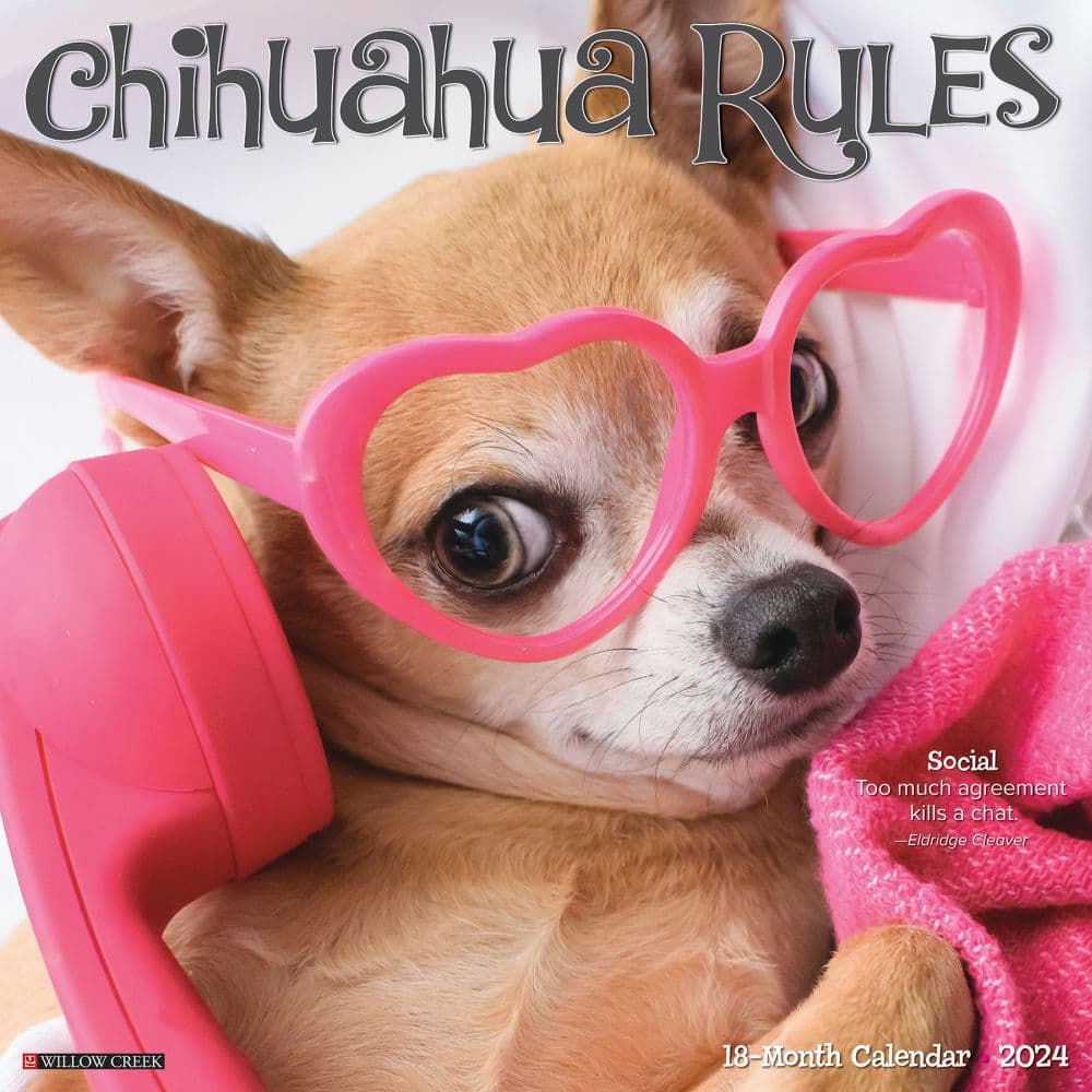 Chihuahua Rules 2024 Wall Calendar Main Image width=&quot;1000&quot; height=&quot;1000&quot;