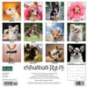 image Chihuahua Rules 2024 Wall Calendar Back of Calendar width=&quot;1000&quot; height=&quot;1000&quot;