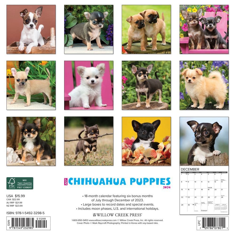 Chihuahua Puppies Just 2024 Wall Calendar Back of Calendar width=&quot;1000&quot; height=&quot;1000&quot;