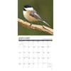 image Chickadees 2024 Wall Calendar Interior Image width=&quot;1000&quot; height=&quot;1000&quot;