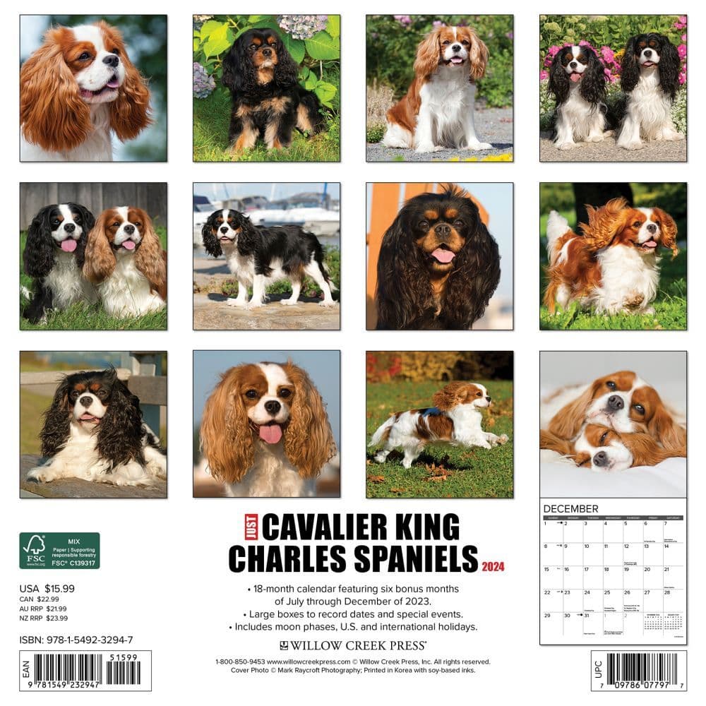 Just Cavalier King Charles 2024 Wall Calendar