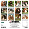 image Just Cavalier King Charles 2024 Wall Calendar Back of Calendar width=&quot;1000&quot; height=&quot;1000&quot;