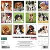 image Just Cavalier King Charles Puppies 2024 Wall Calendar Back of Calendar width=&quot;1000&quot; height=&quot;1000&quot;