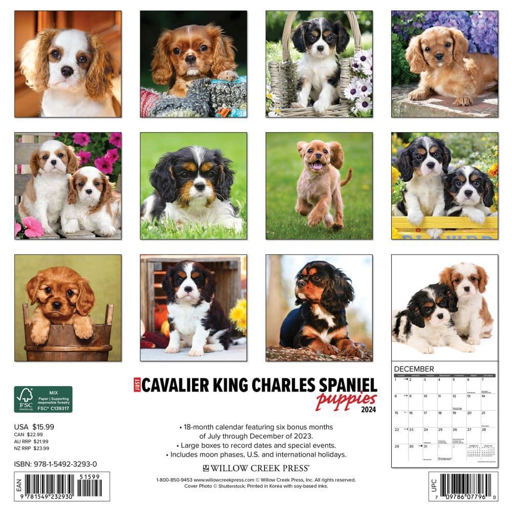 Just Cavalier King Charles Puppies 2024 Wall Calendar Back of Calendar width=&quot;1000&quot; height=&quot;1000&quot;