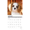 image Just Cavalier King Charles Puppies 2024 Wall Calendar Interior Image width=&quot;1000&quot; height=&quot;1000&quot;
