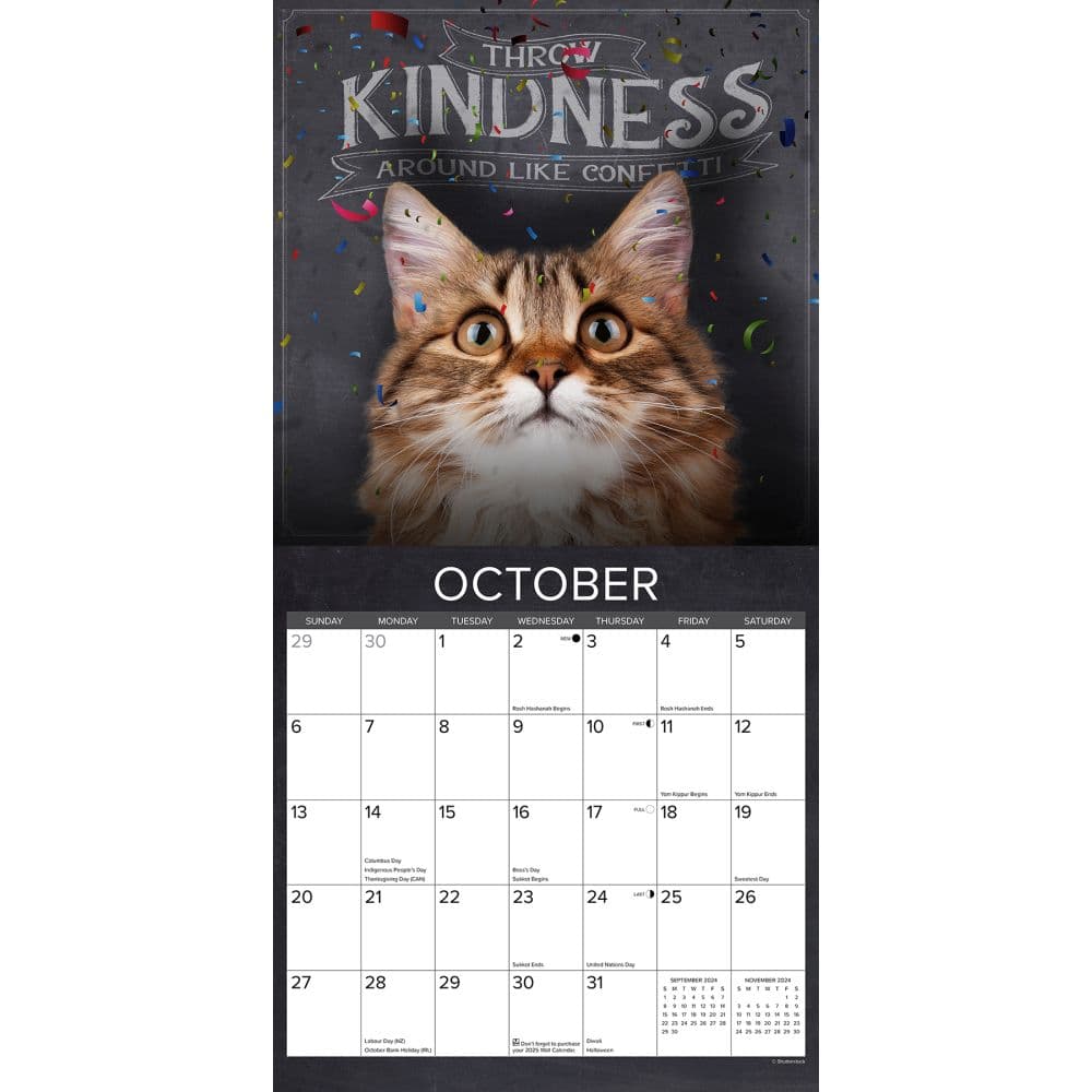 Catspirations 2024 Wall Calendar