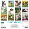 image Cats &amp; Dogs 2024 Wall Calendar Back of Calendar width=&quot;1000&quot; height=&quot;1000&quot;