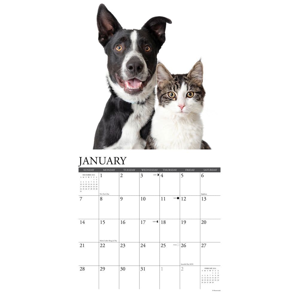 Cats &amp; Dogs 2024 Wall Calendar Interior Image width=&quot;1000&quot; height=&quot;1000&quot;