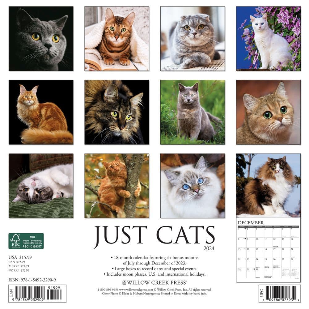 Just Cats 2024 Wall Calendar Back of Calendar width=&quot;1000&quot; height=&quot;1000&quot;
