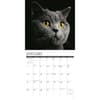image Just Cats 2024 Wall Calendar Interior Image width=&quot;1000&quot; height=&quot;1000&quot;