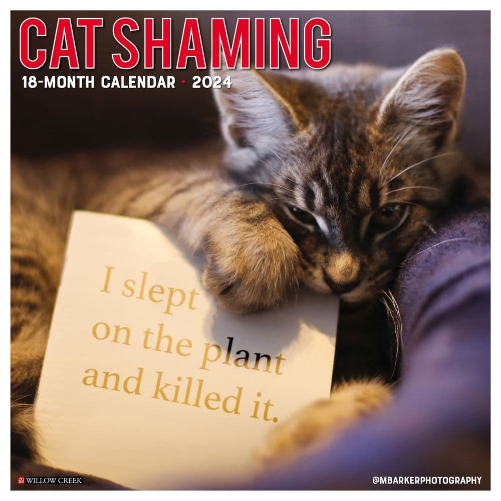 Cat Shaming 2024 Wall Calendar Main Image width=&quot;1000&quot; height=&quot;1000&quot;