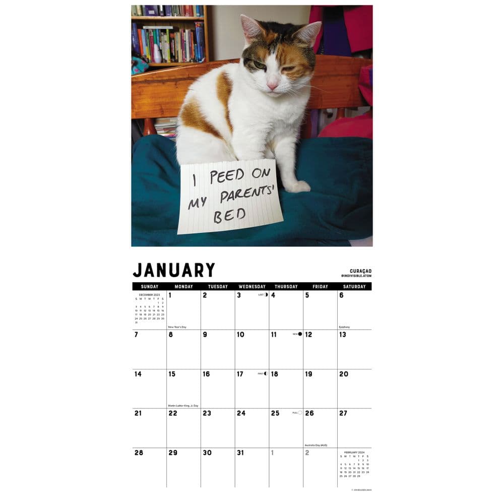 Cat Shaming 2024 Wall Calendar Interior Image width=&quot;1000&quot; height=&quot;1000&quot;