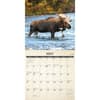 image Canadian Fish and Wild Game 2024 Wall Calendar Interior Image width=&quot;1000&quot; height=&quot;1000&quot;